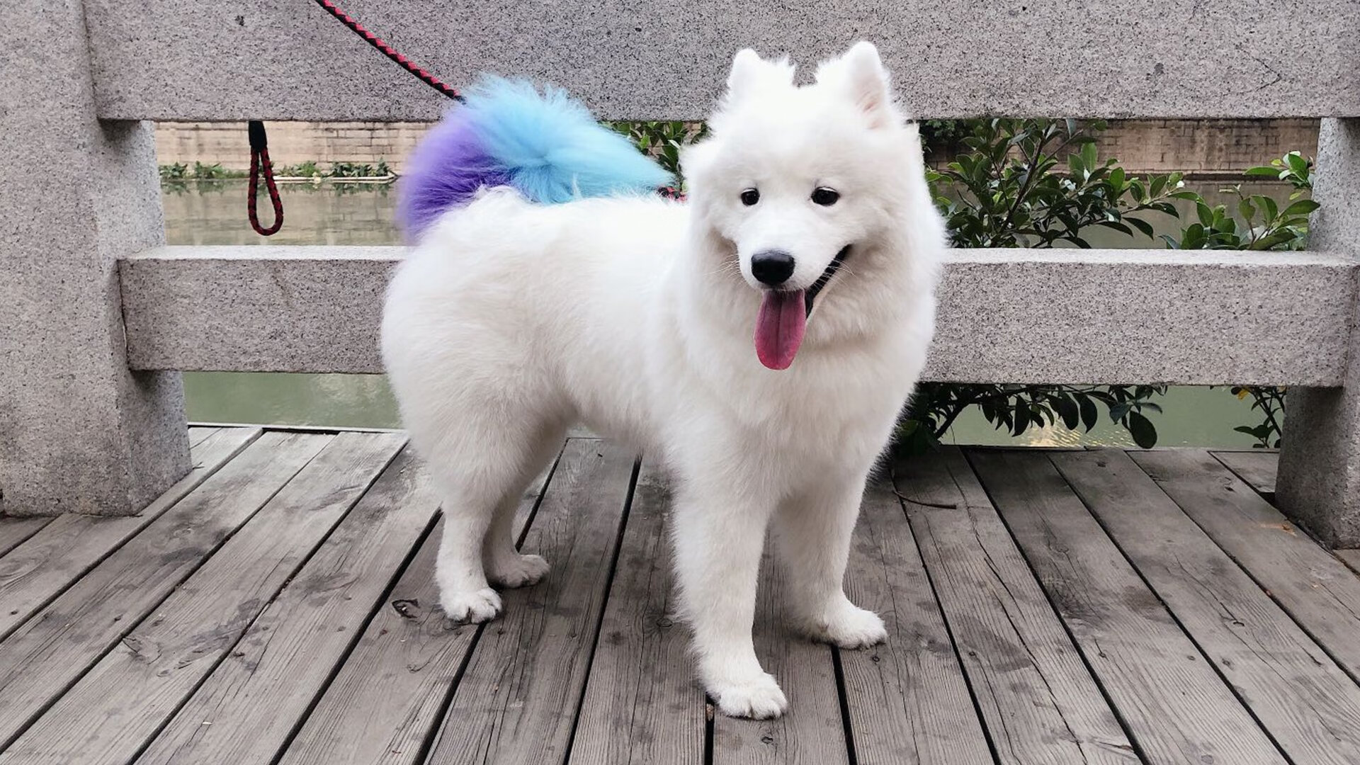 开云官方网页登录-_国家队精英训练营：名将提前备战年度赛事_，进国家队训练有工资吗