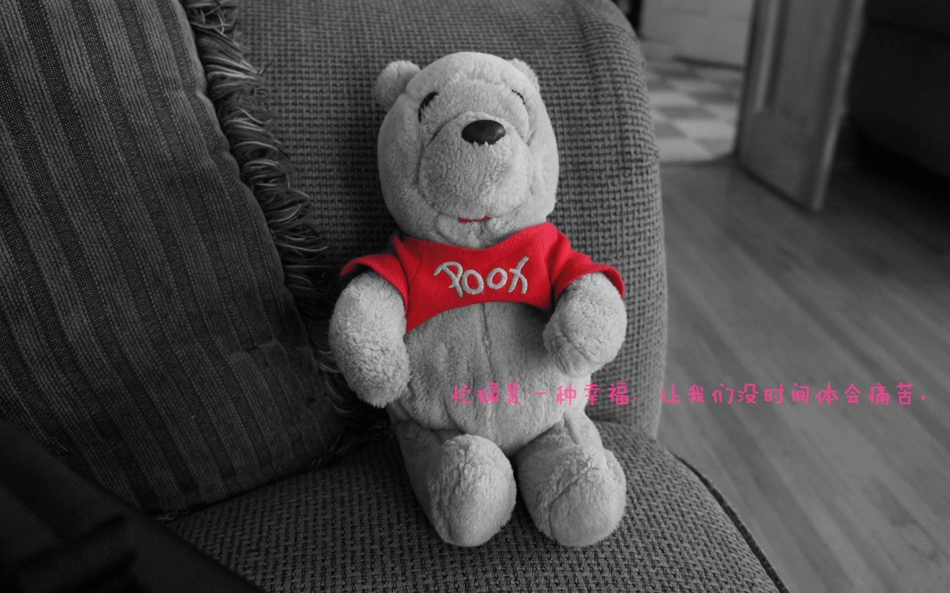 开云入口-_奇才队士气如虹，不屈不挠取胜_，奇才队员