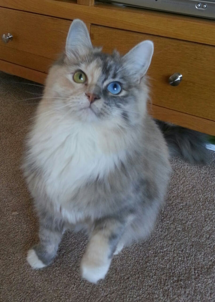 kaiyun官方网站-中国足球青训学院年度表彰盛典隆重举行，中国足球青训基地有哪些