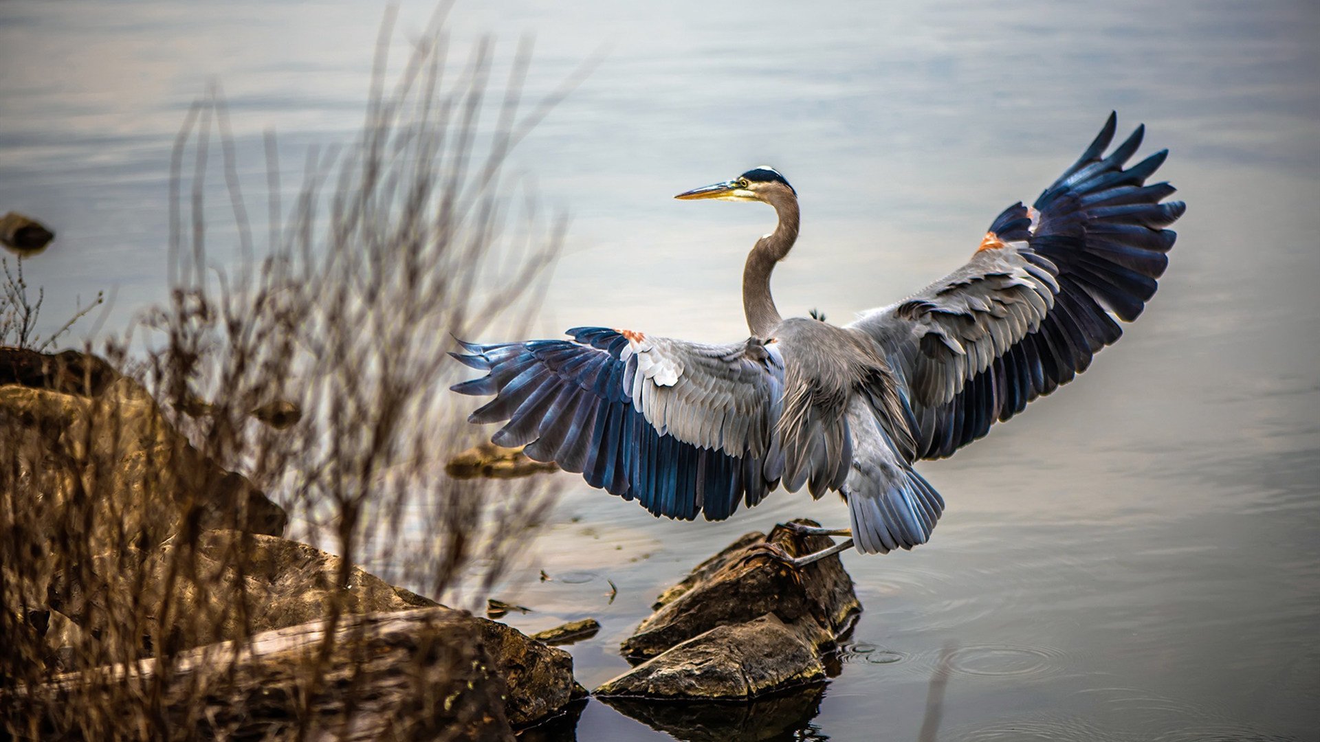 kaiyun官方网站-塞内加尔马术队在非洲马术锦标会盛装舞步赛中获得第六名，成绩可圈可点。