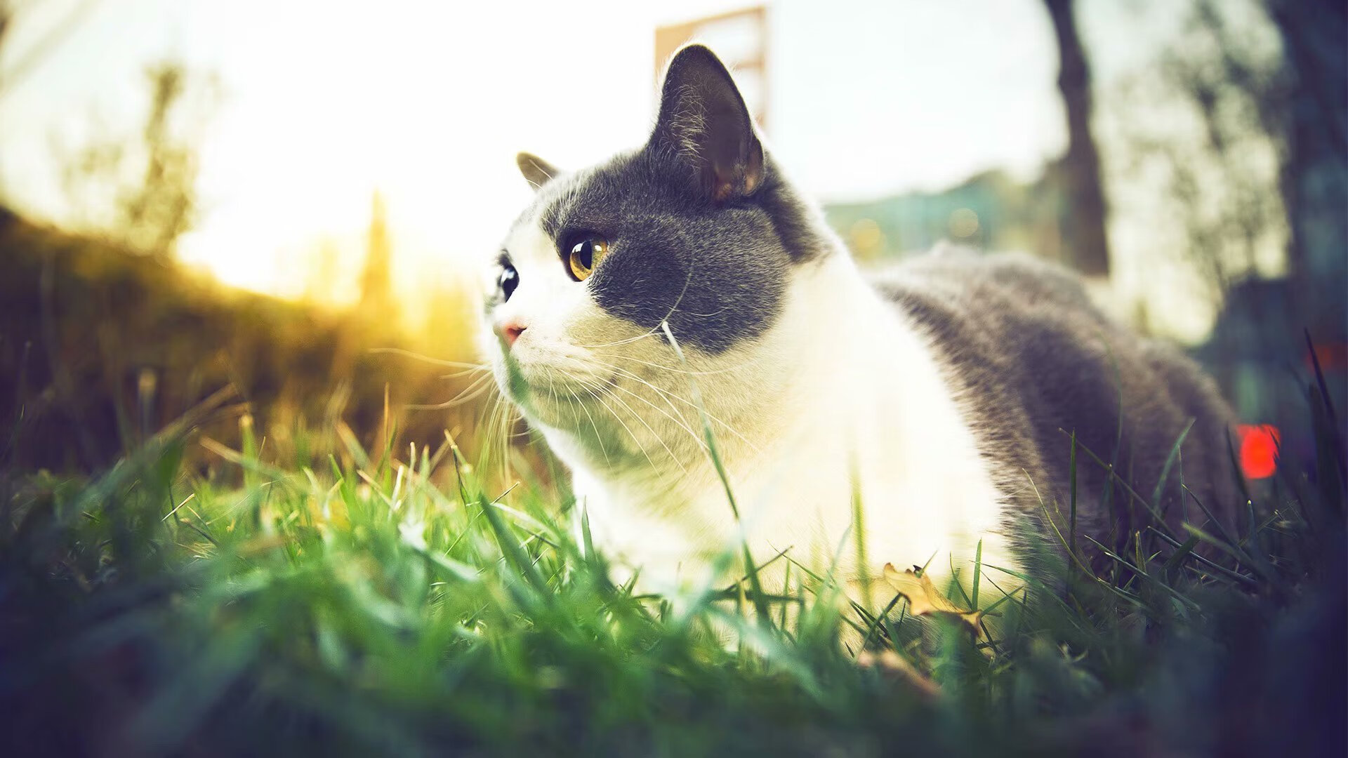 kaiyun网站-RNG实施“数据化训练+人脑决策”双重优化模式