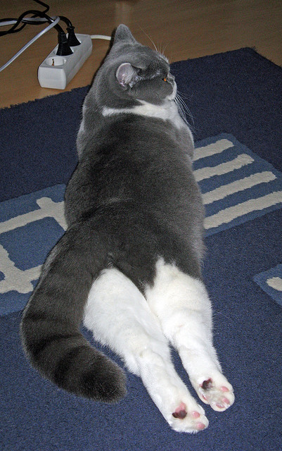 开云网页版登录入口-四川五粮液 冲击季后赛，五粮液四川新品