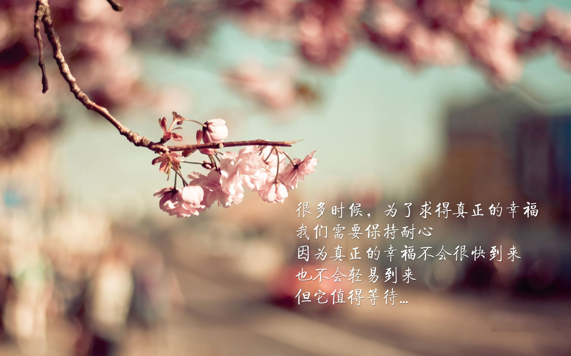 kaiyun.com-墨西哥队防守端展现韧性，难以攻破，墨西哥队员