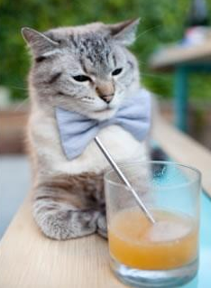 开云网页版登录入口-热那亚队战平拉齐奥，主场稳定状态待队长复出，热那亚球员