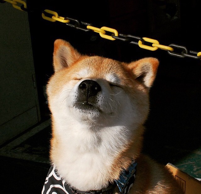 CBA球队加强青训体系建设,cba青训规定