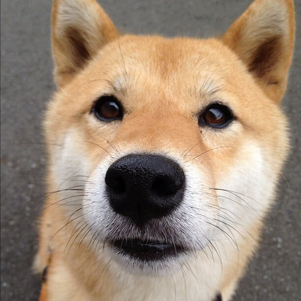 开云体育APP下载-争议吹罚是否成为社交媒体与赛事热度话题中心，吹罚是什么