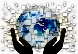 开云体育APP下载-国家滑板协会公布全国青少年排名更新机制，国家滑板队训练中心